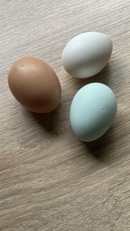 344E8519-EC3F-423D-B7F0-987DAF565F09