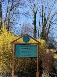 Die Landküken Die Landküken